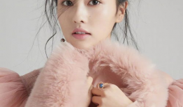 白鹿视频,探寻历史与现代交融的视觉盛宴